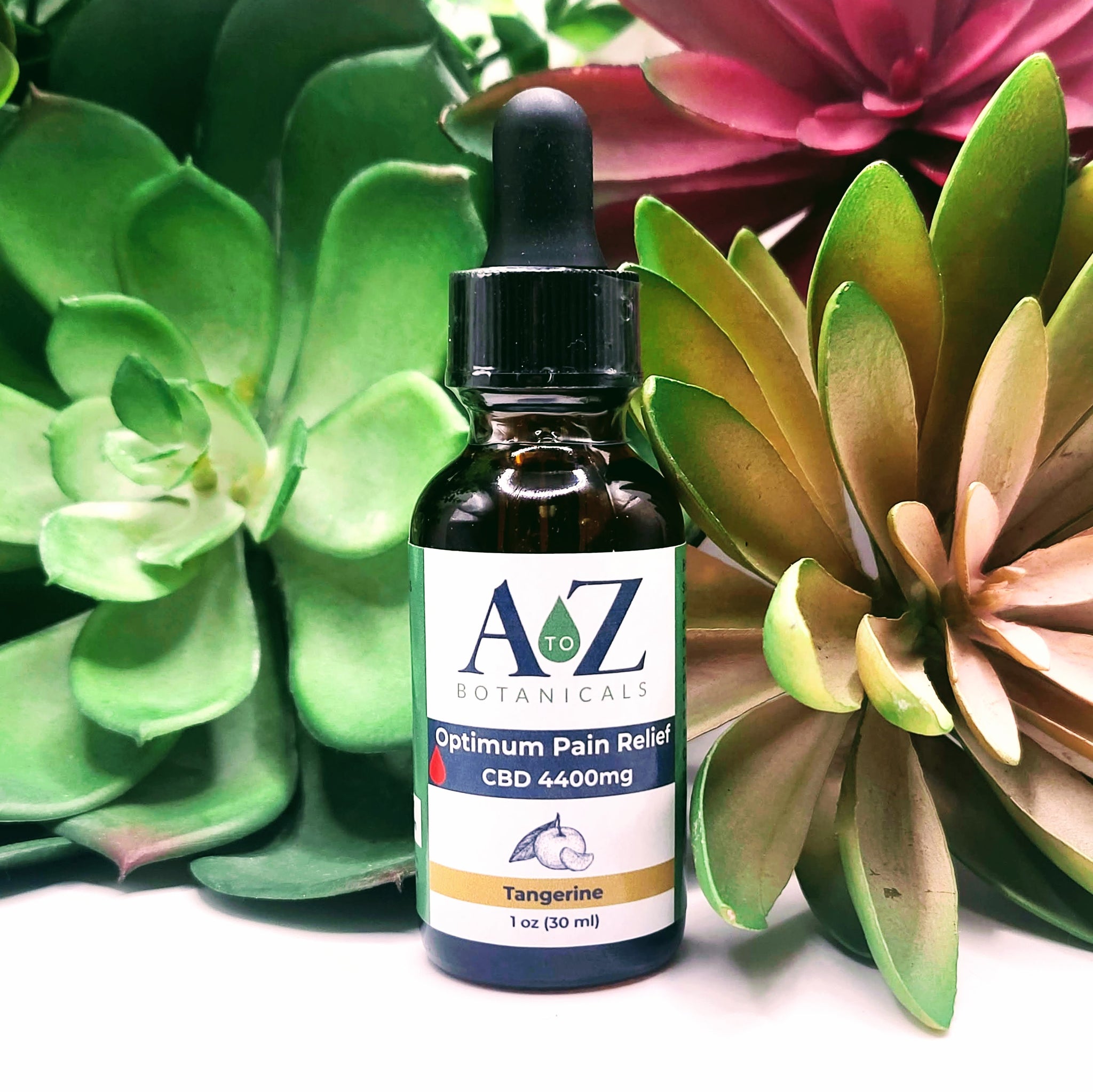 A to Z Botanicals Optimum Pain Relief CBD Oil 4400mg in Tangerine flavor, presented with succulent plants for natural healing and wellness.